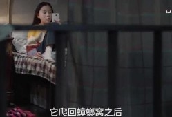 神秘人爆料小六视频,小六视频背后的惊人真相